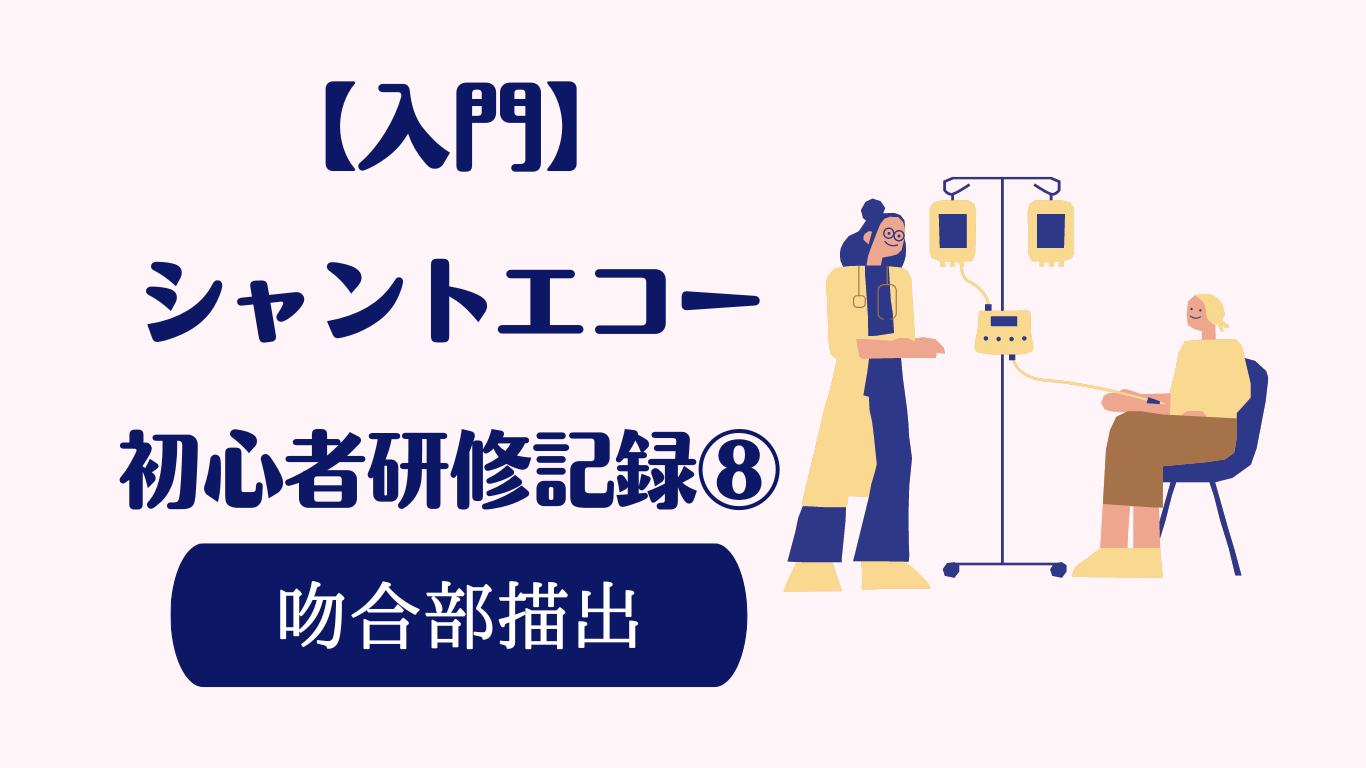 シャントエコー　 吻合部描出