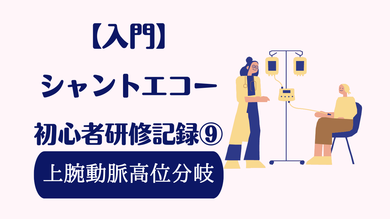 シャントエコー 上腕動脈高位分岐