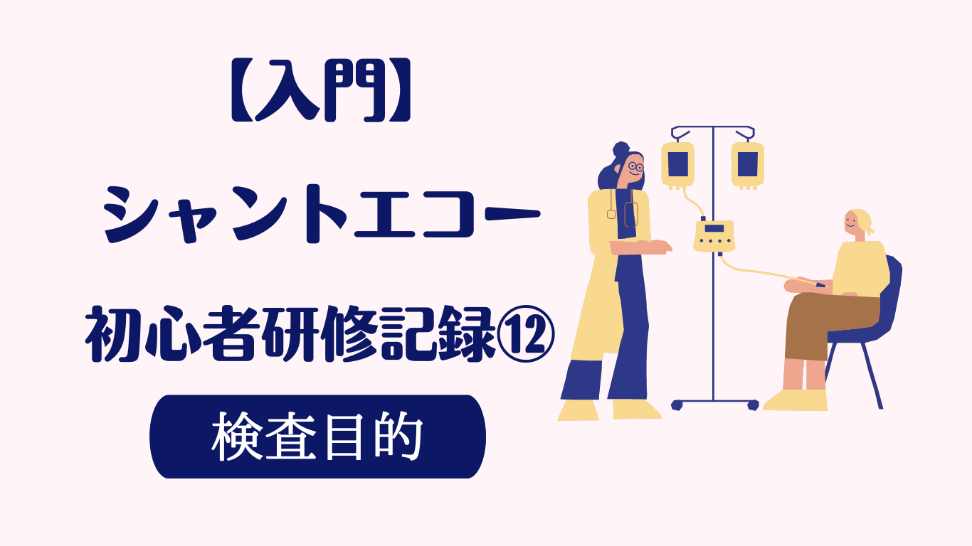 シャントエコー 検査目的