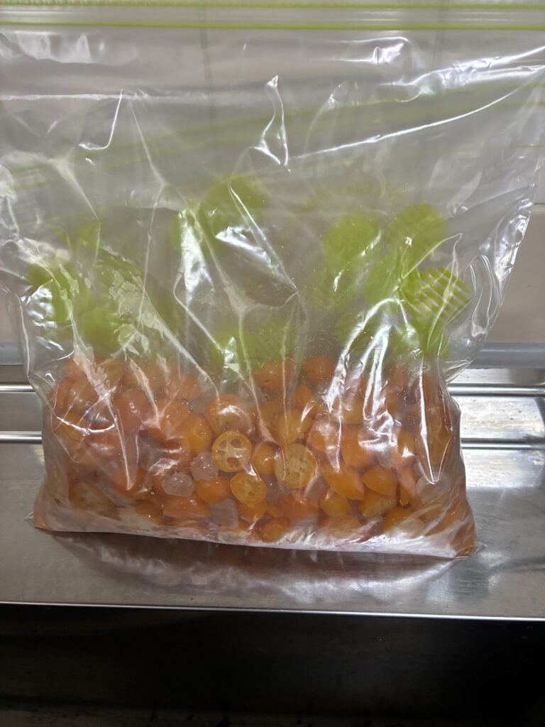 冷凍きんかんシロップ